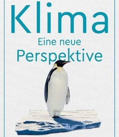 Klima Perspektive Pinguin auf Eisscholle