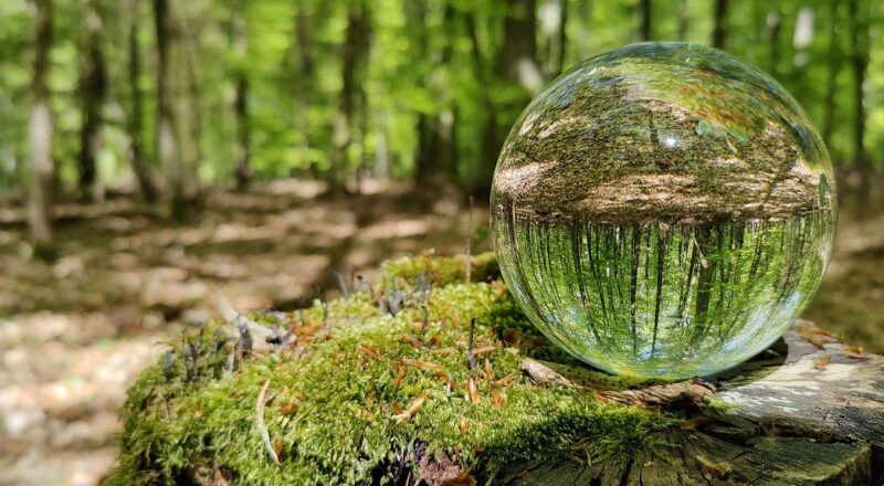 Glaskugel im Wald