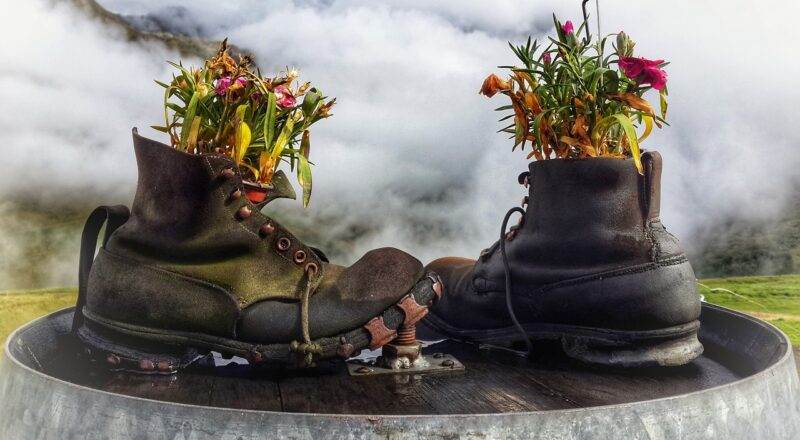 Blumen im Schuh