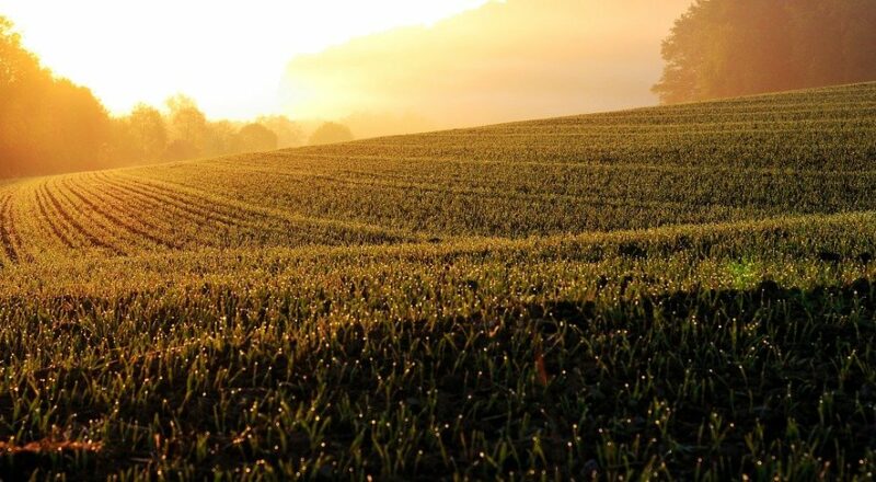 heißes Feld