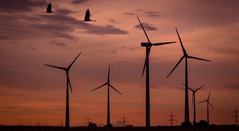 Sonnenuntergang und Landschaftsuntergang
